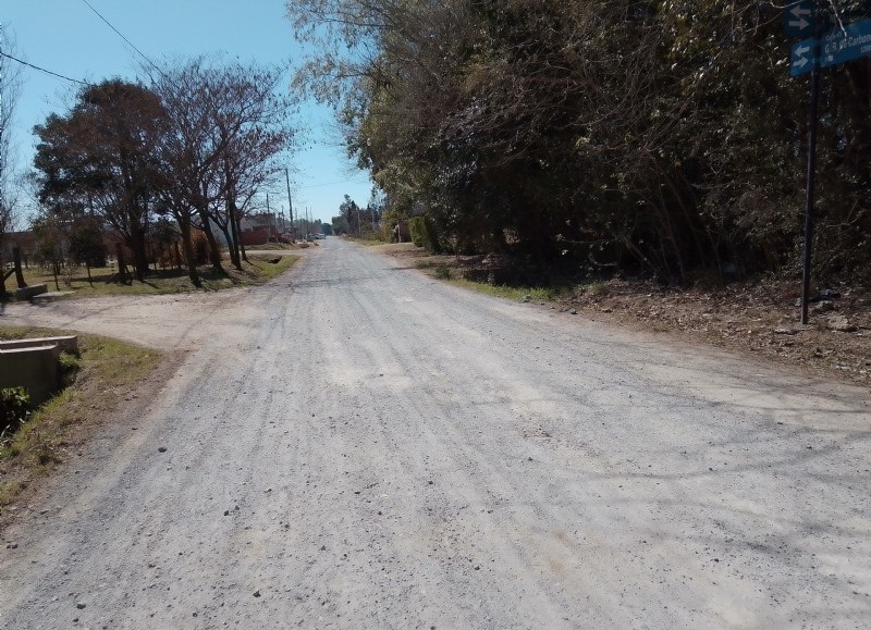 Labores sobre Gloria de Carbone.