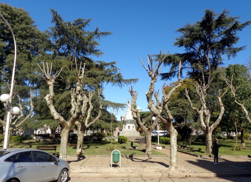 Este lunes y miércoles de 18 a 21 horas, el personal de la Dirección de Inspección General y Protección Ciudadana te espera en Plaza San Martín para realizar los siguientes trámites.