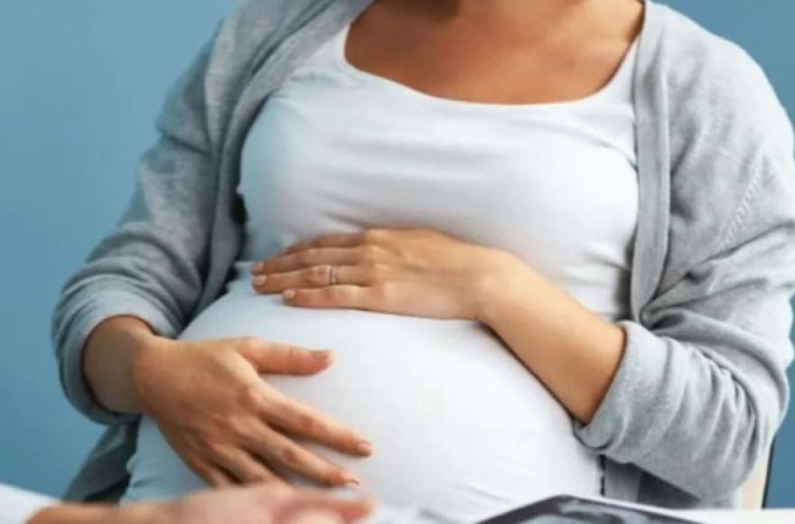 Crecer Juntos: el programa de San Andrés de Giles que acompaña a embarazadas, puérperas y familias