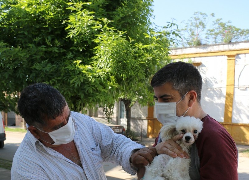 Sanidad animal.