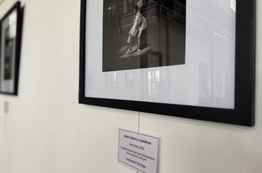 Hasta el 18 de noviembre.