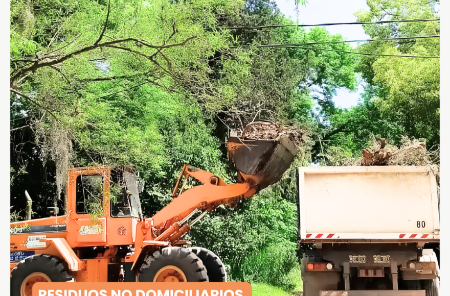 El Municipio lanza un nuevo esquema de recolección de residuos no domiciliarios