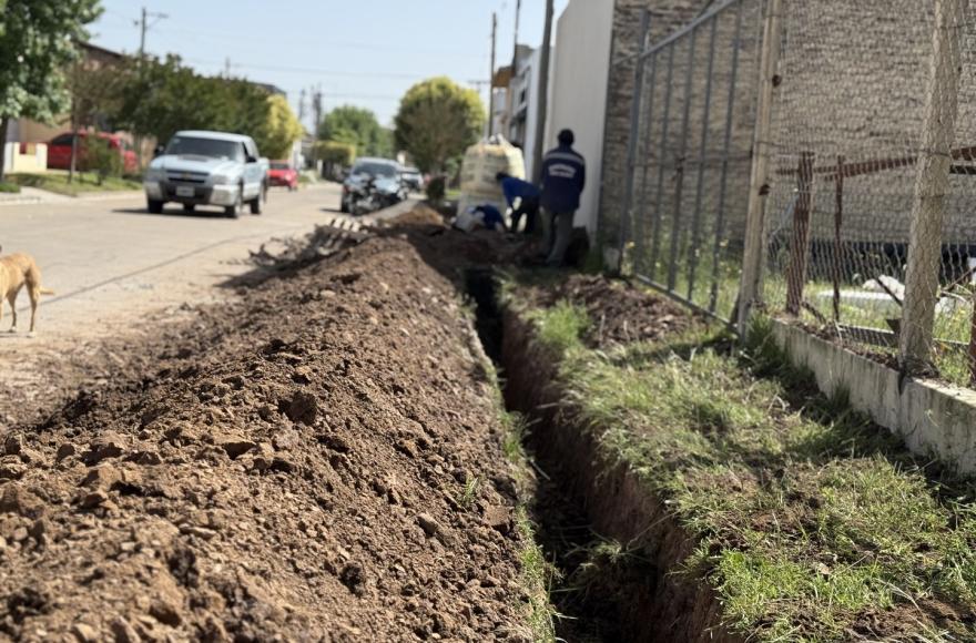 Las labores se llevan a cabo a través del área de Servicios Sanitarios.