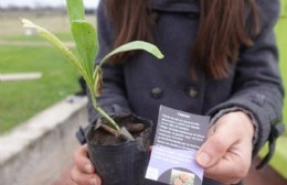 Un plantín por un reciclable