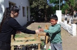 Entrega de plantines en Cucullú