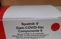 Llegaron segundos componentes de la Sputnik V industria nacional