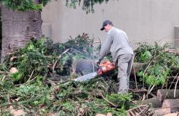 Intenso despliegue municipal tras el temporal