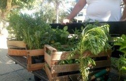 Plantines a cambio de reciclables