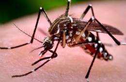 ¿Cómo cuidarnos del dengue?