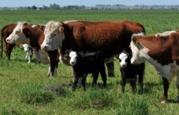 Bronca del sector agropecuario por la suspensión de las exportaciones de carne