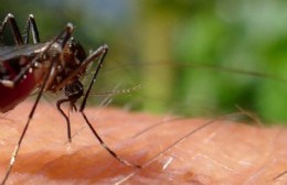 Recomendaciones ante el aumento de casos de dengue
