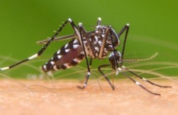 La secretaria de Salud habla sobre dengue