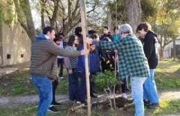 Plantaciones en el marco del Día del Árbol