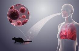 Falleció un joven por hantavirus en nuestra ciudad