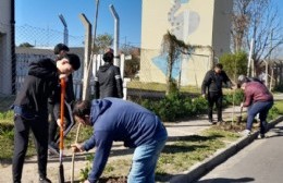 Jornada en escuelas por el Día del Árbol