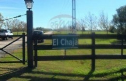 Exaltación de la Cruz: asaltaron en un lujoso barrio a un defensor oficial porteño y su familia