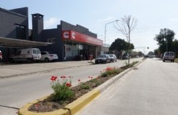 Forestación en el boulevard de España y en plaza San Martín