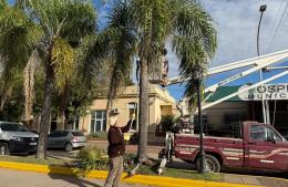 Avanza la mejora de espacios públicos