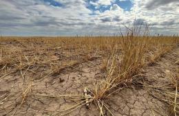 Nueva prórroga por la emergencia agropecuaria