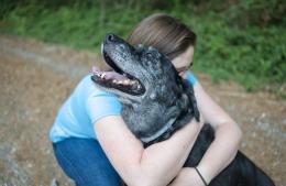 El Refugio Canino Municipal pide por unas fiestas más lindas