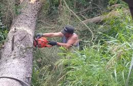 Cuadro de situación tras el temporal